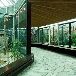 Parrot House at Walsrode, 22/03/13