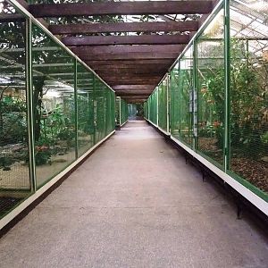 Paradieshalle (Paradise Hall) Interior at Walsrode, 22/03/13