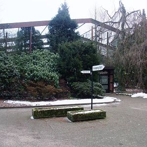 Free-flight Aviary at Walsrode, 22/03/13