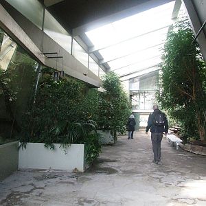 Tropical House at Hannover, 23/03/13