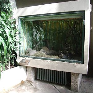 Degu Enclosure at Hannover, 23/03/13