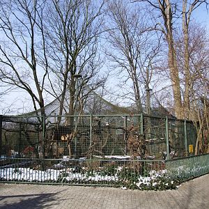 Lemur Enclosure at Hannover, 23/03/13
