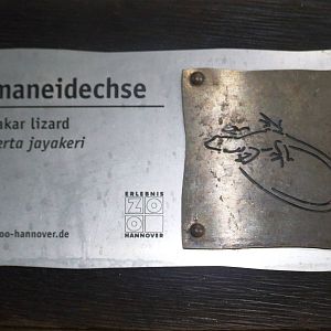 Signage Example at Hannover, 23/03/13