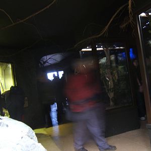 View inside the redisgned Insect House