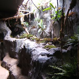 View inside the redisgned Insect House