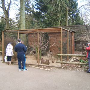 View of new Burrowing Owl aviary