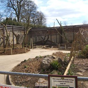 View of construction of new Ground Hornbill Aviary