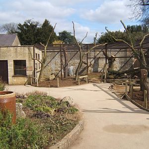 View of construction of new Ground Hornbill Aviary
