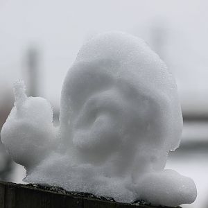 snow snail Chester Zoo 24 March 2013