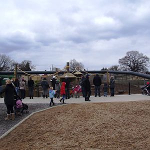 Guinea Baboon Enclosure at Yorkshire WP, 01/04/13