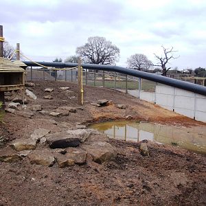 Guinea Baboon Enclosure at Yorkshire WP, 01/04/13