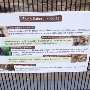 Signage Example at Yorkshire WP, 01/04/13