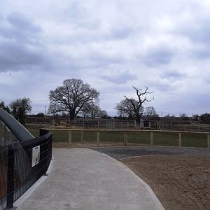 World's Farm Paddock at Yorkshire WP, 01/04/13