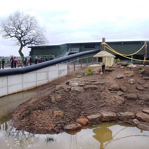 Guinea Baboon Enclosure at Yorkshire WP, 01/04/13