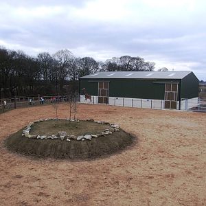 Giraffe Paddock at Yorkshire WP, 01/04/13