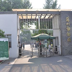Main gate