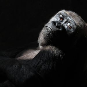 Lounging in the sun 2 lol.