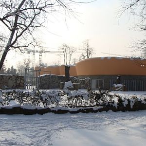 Pavilion of Indian rhinoceros