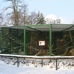 Cages of small monkeys