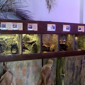 Terrariums of insects