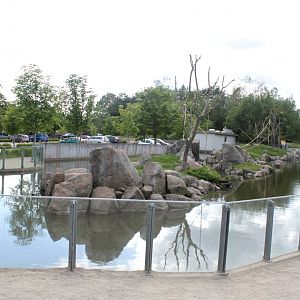 Givskud Zoo - Java macaque exhibit