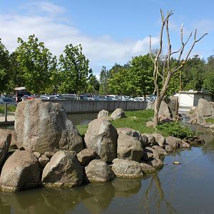 Givskud Zoo - Java macaque exhibit