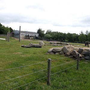 Givskud Zoo - Elephant exhibit