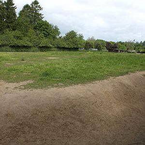 Givskud Zoo - Llama exhibit