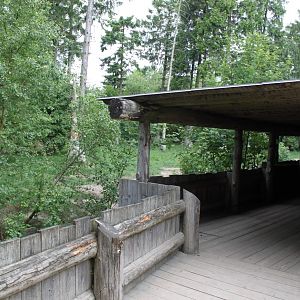 Givskud Zoo - Wolf Woods