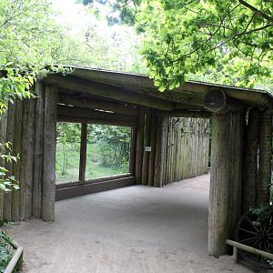 Givskud Zoo - Wolf Woods