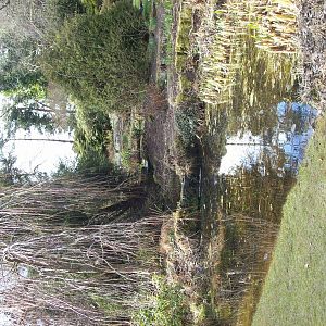 Cruikshank Botanical gardens (Aberdeen zoology building)
