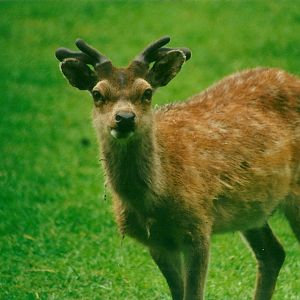 Mr Smith 27th May 2000