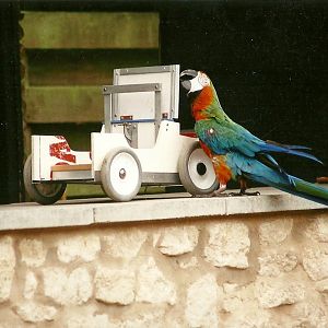 Another breakdown for Jaffa 24th June 2000