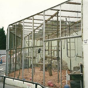 Primate cage 22nd July 2000