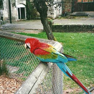 Winston 22nd July 2000