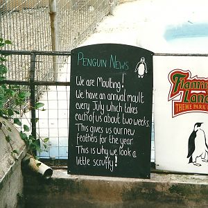 Information board 22nd July 2000