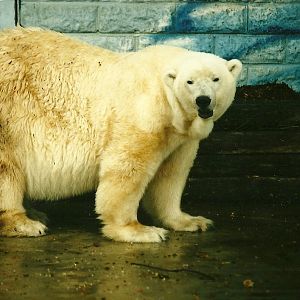 Mandy 19th August 2000