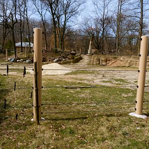 Secondary Elephant Yard - Elephant Crossing