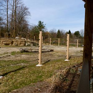 Secondary Elephant Yard - Elephant Crossing