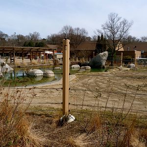 Main Yard - Elephant Crossing