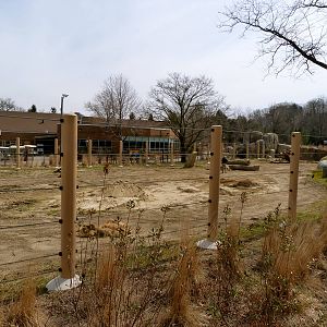 Main Yard (continued) - Elephant Crossing