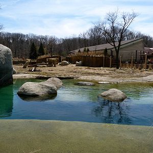 Main Yard - Elephant Crossing