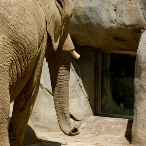 Kopje Rock Window - Elephant Crossing