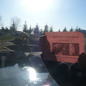 Congratulations Sign