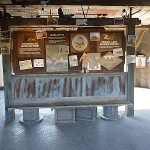 Graphics Between Bear Exhibits