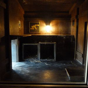 Inside Arctic Fox Den