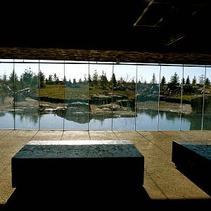 Polar Bear Exhibit - Polar Frontier