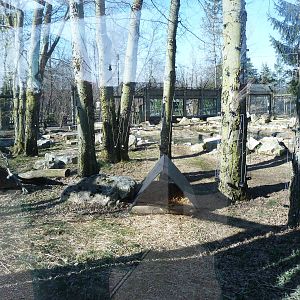 River Otter New Exhibit - North America