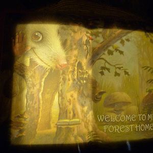 Habitat Hollow - The House