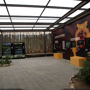 New amphibians exhibit for 8 species.